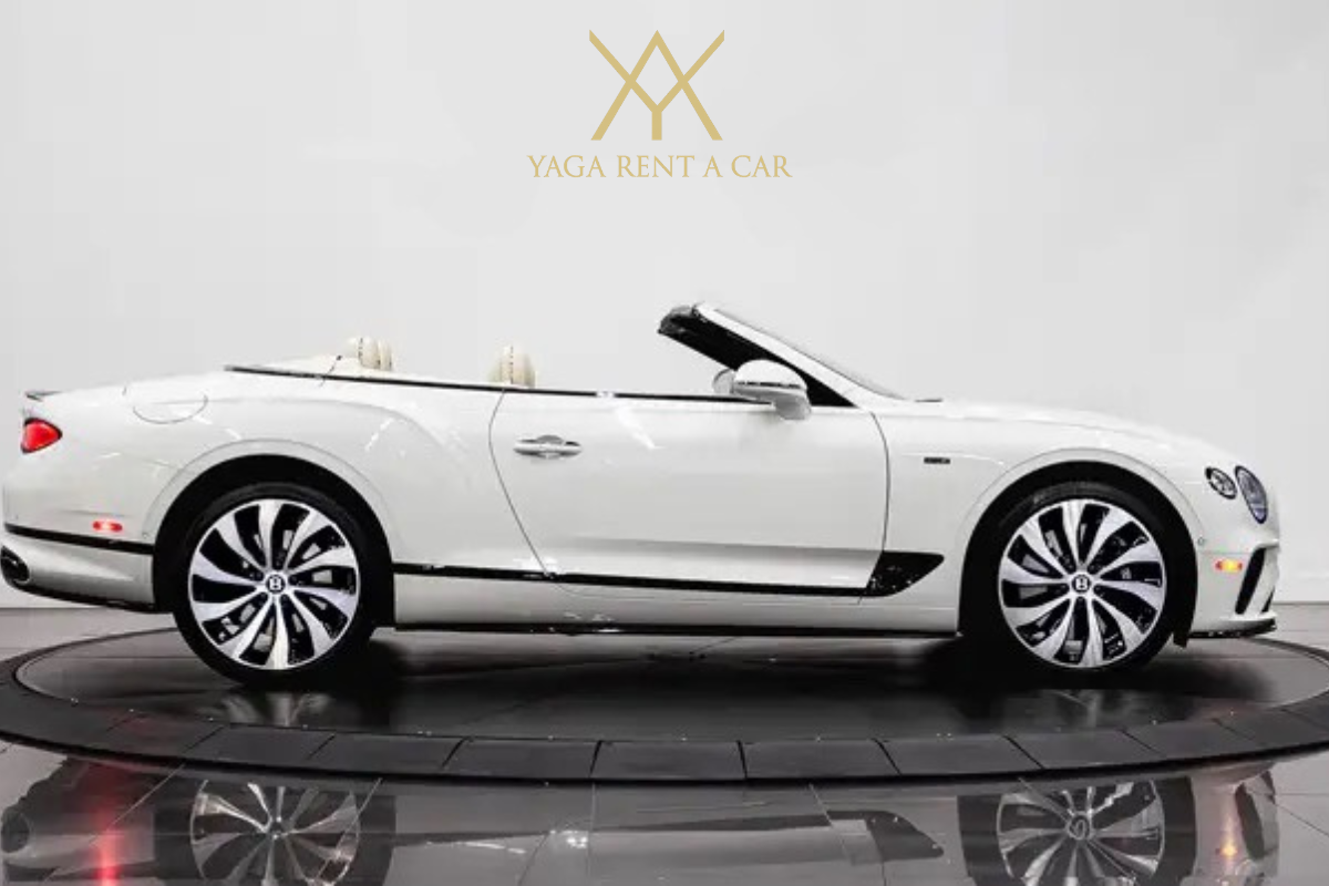 YAGA RENT A CAR 9.png